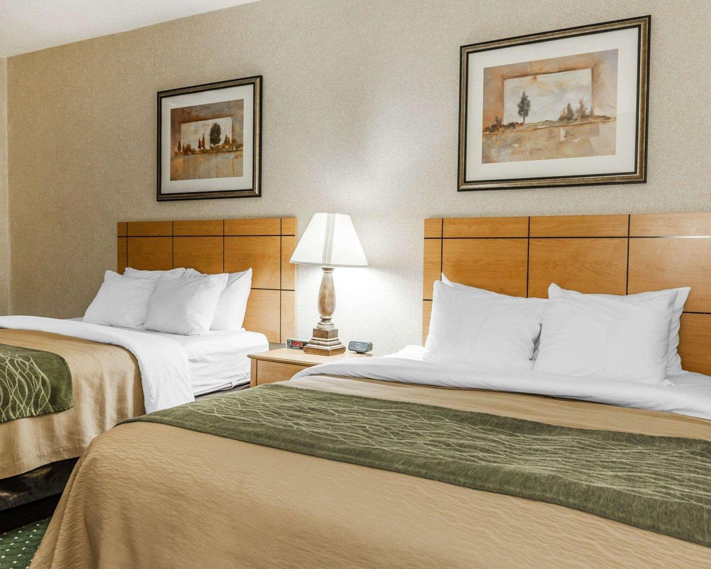 Comfort Inn Near Kokomo Speedway Eksteriør bilde